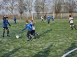 S.K.N.W.K. JO12-1JM - De Jonge Spartaan JO12-3 (competitie) 2023-2024 (2e fase) (95/133)